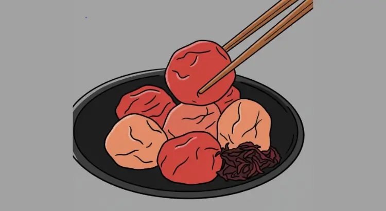 ciruela umeboshi con palillos dibujo de portada